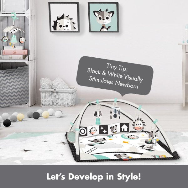 Black & White Gymini Deluxe Play Mat With Book