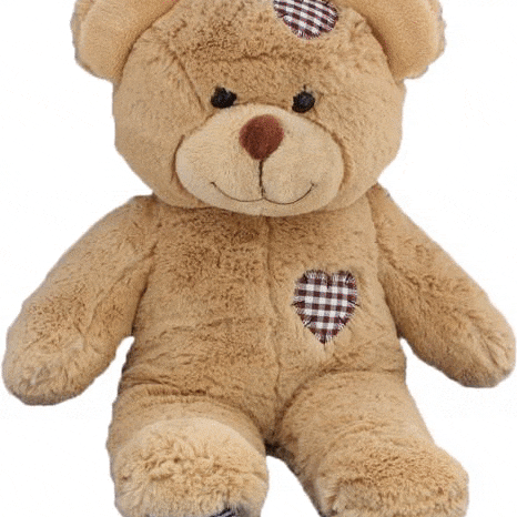 8 Inch Recordable BROWN Patch Bear
