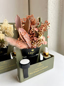 Lucca - Nontoxic Floral Car Air Freshener: Amber & Chamomile & Vanilla