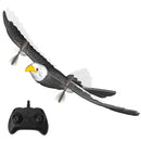 Bald Eagle R/C