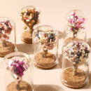 Mini Dried Flower Glass Dome