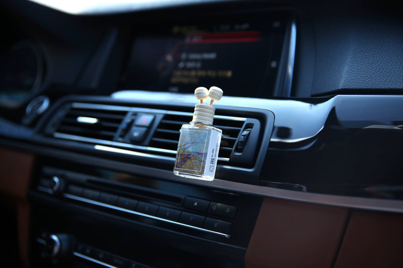 Car Vent Clip Air Freshener Stick Diffuser Oil + Refill Set: Lemon Eucalyptus