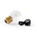 Cordless Filament Lightbulb