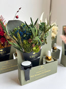 Lucca - Nontoxic Floral Car Air Freshener: Amber & Chamomile & Vanilla