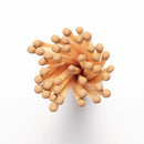 Terrain Camel Matches