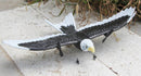 Bald Eagle R/C