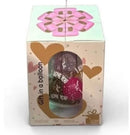 Box for Gift in Balloon
