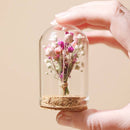 Mini Dried Flower Glass Dome