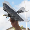 Bald Eagle R/C