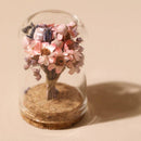 Mini Dried Flower Glass Dome