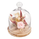 10" Pink Preserved Rose Botanical Cloche