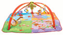 Move & Play Gymini