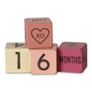 Pink Mini Age Blocks