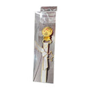 Golden Star Link Ribbon Pacifier Clip- white
