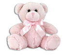 Pink Teddy Bear