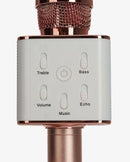 Sing Along Pro Karaoke Microphone