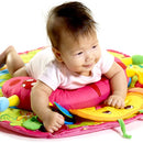 Tummy Time Fun Ladybug Pillow & Mat