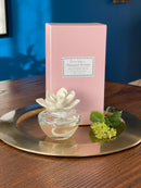 Ceramic Lotus Flower Diffuser Gift Set - Pleasant Dream