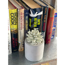 Citrus Verbena Succulent in Planter Diffuser Gift Set