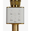 Sing Along Pro Karaoke Microphone