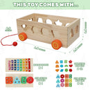 Sorting & Stacking Toys For Babies & Toddlers