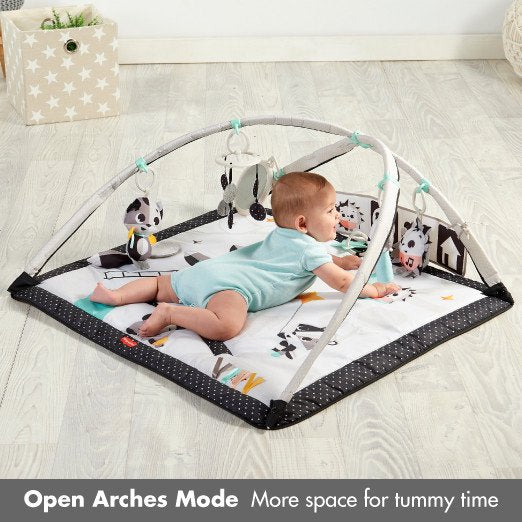 Black & White Gymini Deluxe Play Mat With Book