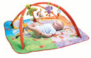 Move & Play Gymini