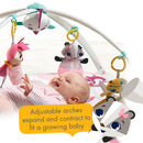 Tiny Princess Tales Deluxe Gymini