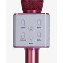 Sing Along Pro Karaoke Microphone