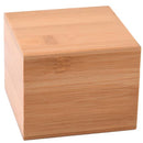 Nova Bamboo Watch