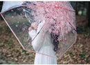 Transparent Cherry Blossom Umbrella