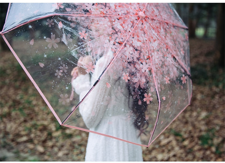 Transparent Cherry Blossom Umbrella
