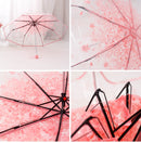 Transparent Cherry Blossom Umbrella